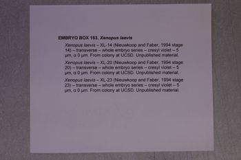 Media type: image;   Special Collections 4011 documents cataloged_item 4012 documents cataloged_item 4013 Description: Digital photo of Northcutt box to document exterior and interior text.;